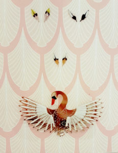 KAQOTY_CHRISTELLEDIT_CH_CYGNE