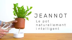 JEANNOT_KAQOTY_1