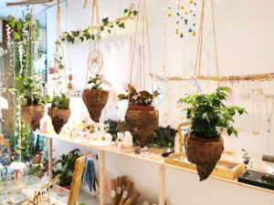 Suspension pour plante
