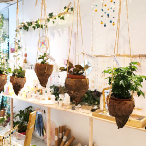 Suspension pour plante